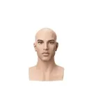 Realistic male head, FRP, height 35 cm