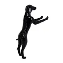 Dog mannequin display, prop, plastic, black high gloss, standing pose