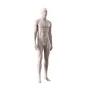 Lingerie mannequin, male, nude skin color mat, standing pose 52