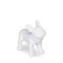 Dog display, plastic, white