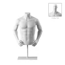 Short male torso, white, incl. base, Bio FRP