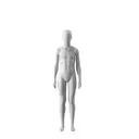 Mannequin sportif, enfant, gris, 12 ans, pose debout 604