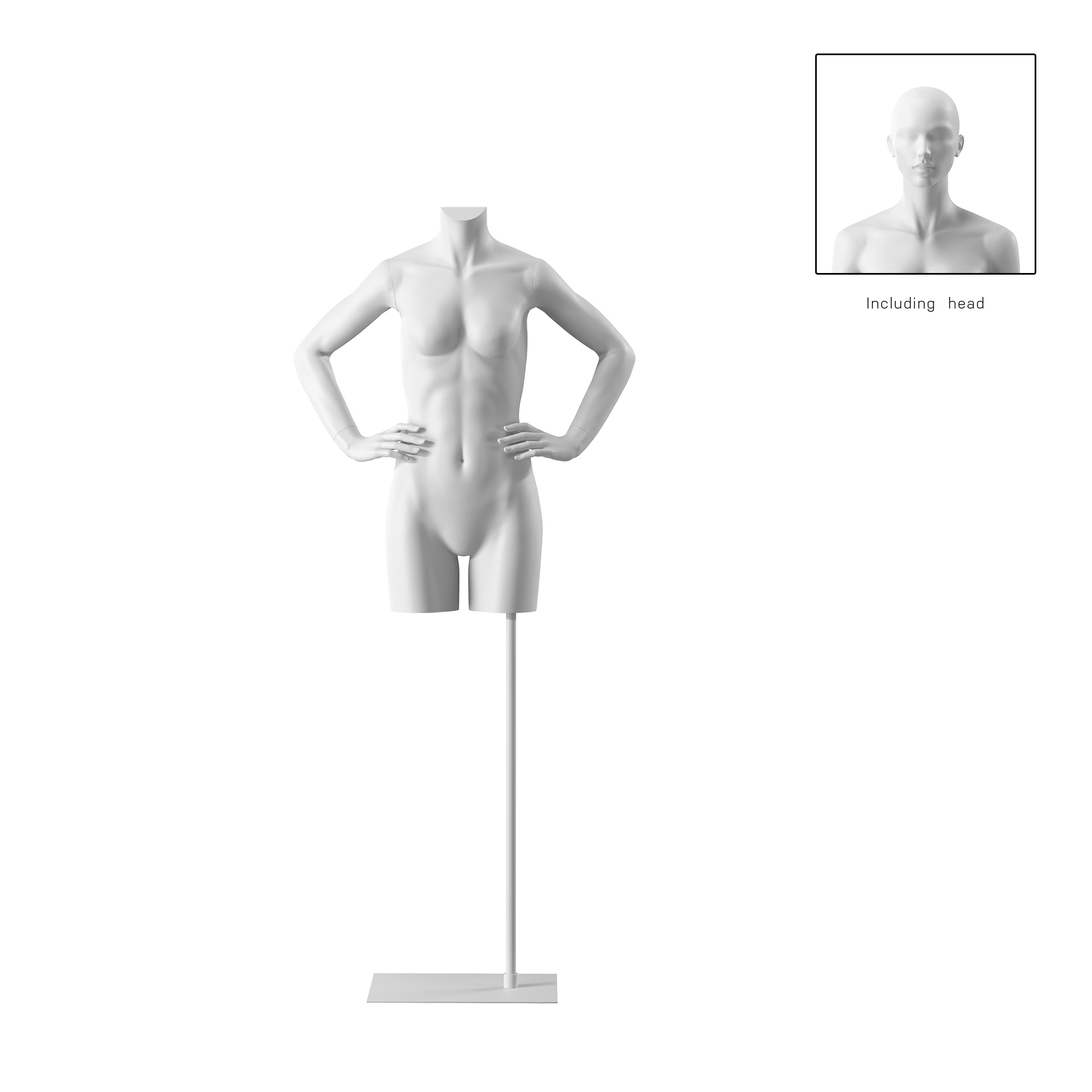 Torso mujer, blanco, incl base, Bio FRP