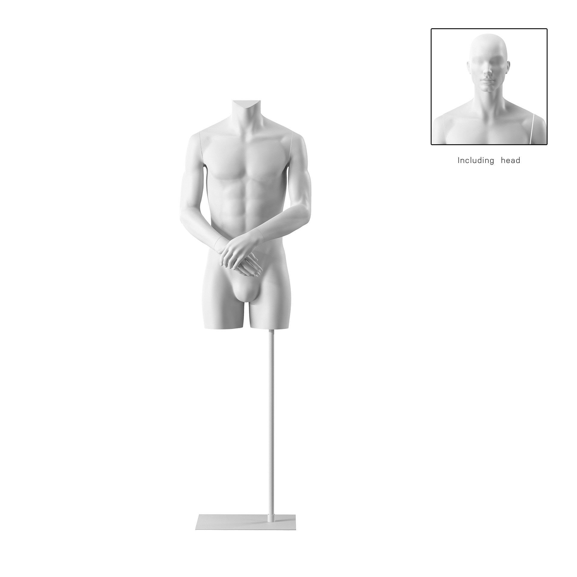 Male torso, white, incl. base, Bio FRP