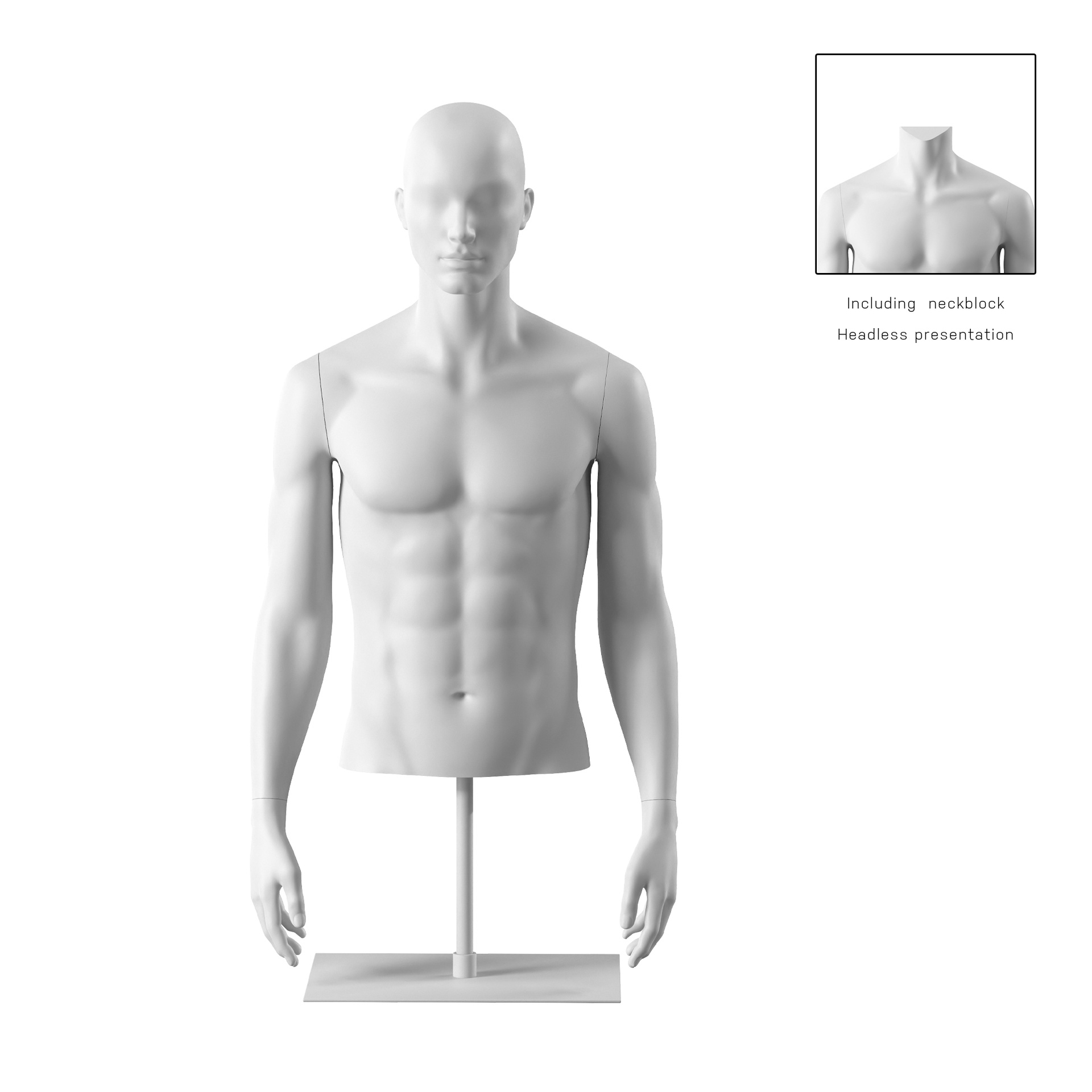 Torso hombre corto, blanco, incl. base, Bio FRP